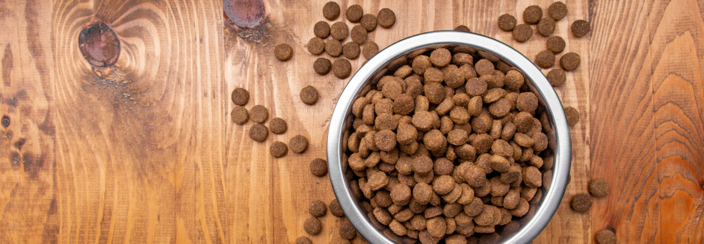Dog bowl with kibble