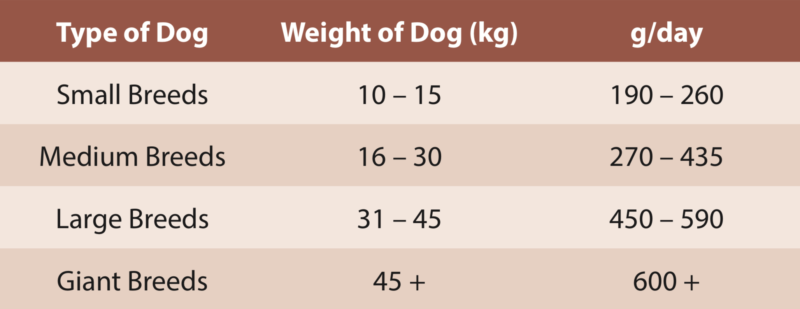 Regular Feeding Guide